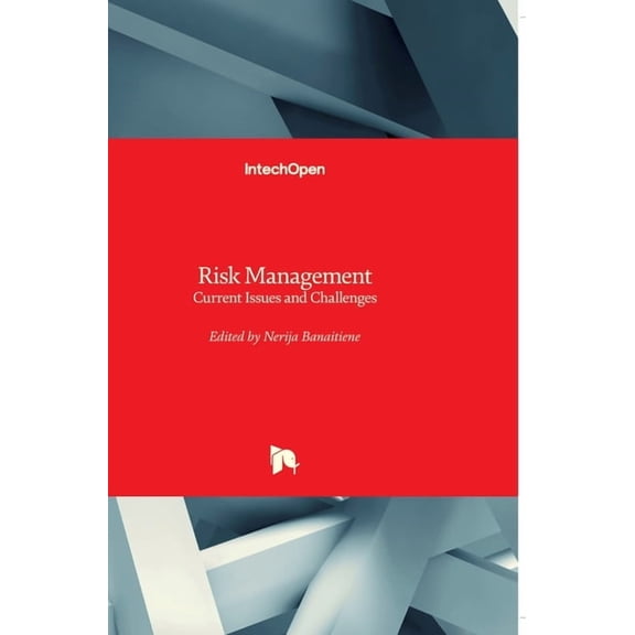 Risk Management: Current Issues and Challenges (Hardcover)