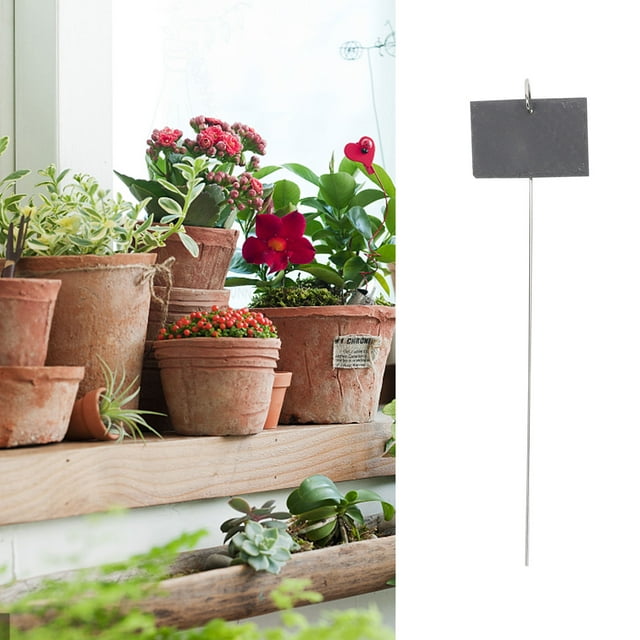 unbranded 1Jgo Etiquetas Negras De Pizarra Para Plantas Con Soporte De Hierro Y Uso En Jardinería