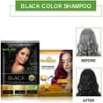 thumbnail image 3 of Champú tinte capilar Herbishh con Mascarilla capilar de Argan Tamaño de Viaje 10+1 pack Negro, 3 of 8