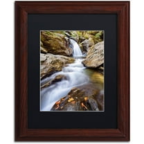 Trademark Fine Art "Bingham Falls" Canvas Art by Michael Blanchette Photography Black Matte, Wood Frame