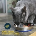 thumbnail image 4 of OurPets DuraPet Premium Stainless Steel Non-Tip Cat or Dog Bowl for Food or Water (1.75 Cups), 4 of 7