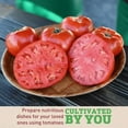 thumbnail image 2 of Harris Seeds Primo Red Tomato Seeds -Treated - Hybrid Non-GMO - 5K Seeds, 2 of 7