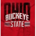 thumbnail image 2 of Ohio Hometown Pride OH Local Buckeye Womens Slim Fit Graphic Tee Brisco Brands L, 2 of 5