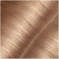 thumbnail image 3 of Garnier Express Retouch Gray Hair Concealer, Instant Gray Coverage, Dark Blonde, 0.338 fl. oz., 3 of 13