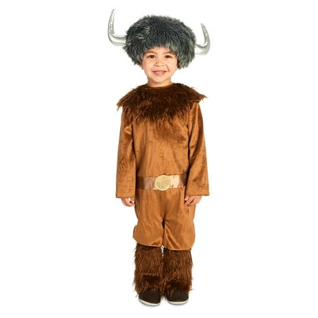 Fearless Viking Toddler Costume