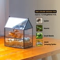 thumbnail image 2 of NCYP Glass Enclosure with Vent Holes for Jumping Spiders - 7.5" x 4.9" x 9", Small Closed Front Opening Terrarium,  Home Decor Black (No Plants), 2 of 10