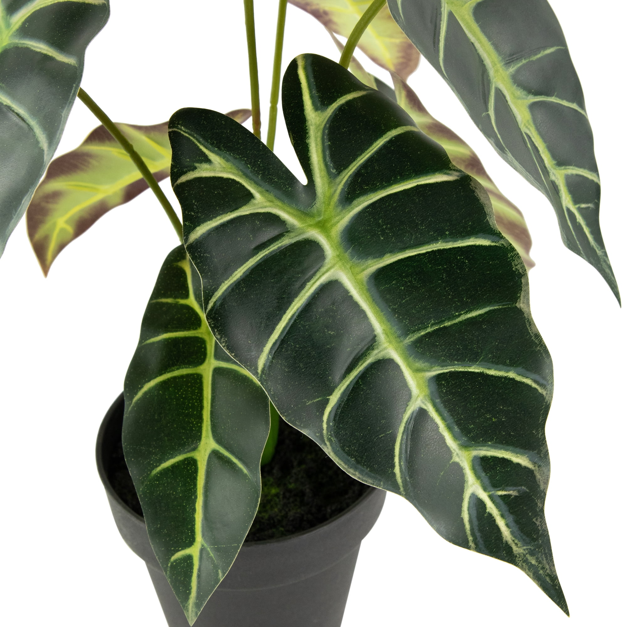Northlight Real Touch™ Artificial Taro Plant in Black Pot 18"