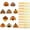 decorative paper, variant on Thanksgiving Turkey Shaped Paper Straws 10-Pack And Striped Straws Set, Includes 10 Turkey Decorative Toppers And 10 Striped Straws, Designed For Big Kids And Teens To Use At Fall