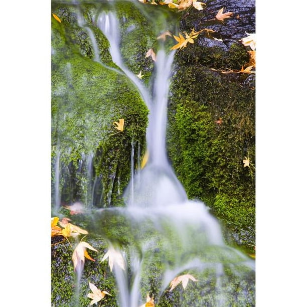 Crystal Springs Waterfall At Oregon Poster Américain Imprimé par Craig Tuttle&44; 22 x 34 - Grand