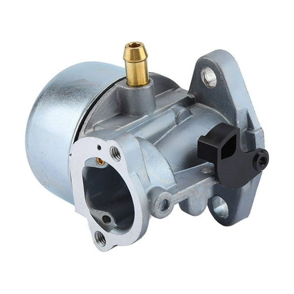 Regun Carburateur - Carburateur pour Briggs Stratton 497586 498170 799868 498254 497314
