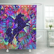 Libin Fractal Unicorn of The Universe Multicolored Fable Dream Fantasy Shower Curtain 66x72 inch