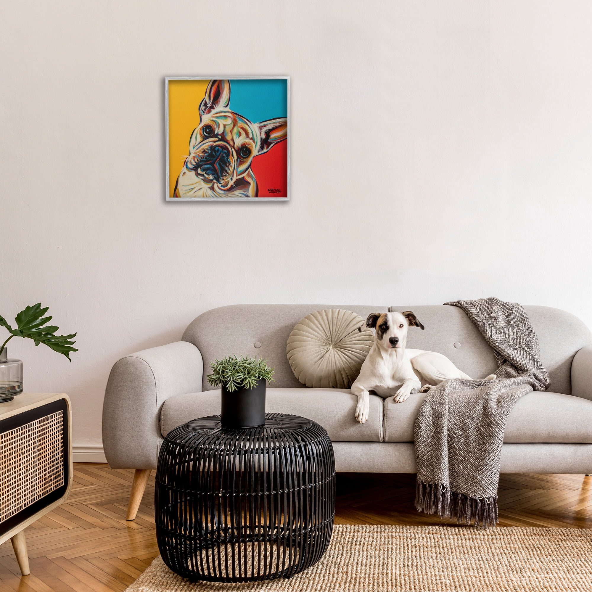 Stupell Industries French Bulldog Pop Portrait Animals & Insects Painting Gray Framed Art Print Wall Art, 24 x 24