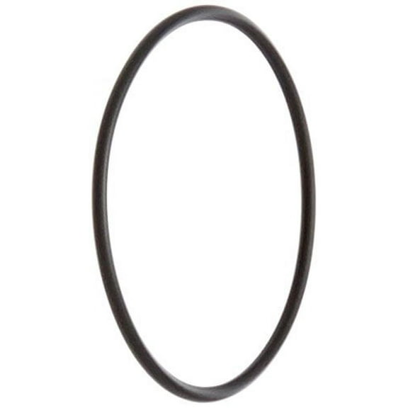 Pentair 192323 O-Ring Replacement Pool/Spa D.E. Filter and Pump