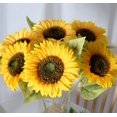 thumbnail image 4 of Sunflowers Artificial Flowers with Long Stem, Fake Sunflowers Bulk, Silk Sunflowers for Home, Wedding, Birthday, Party Centerpieces Decorations (White), 4 of 8