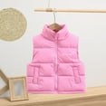 thumbnail image 4 of LIJCC Boys Girls Winter Vest Solid Color Coat Lightweight Padded Quilted Jacket Sleeveless Turtleneck Zip Up Thermal Warm Down Puffer Vests with Pocket, 4 of 6