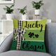 thumbnail image 1 of St. Patrick's Day Pillow Cover Sofa Pillow Cover Washable Pillow Cover Holiday Gift Suitable For Sofa Bedroom Office, 1 of 6