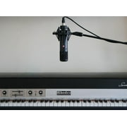 SE Electronics SE2300 Multi Pattern Large Diaphragm Condenser Mic with Shockmount and Filter