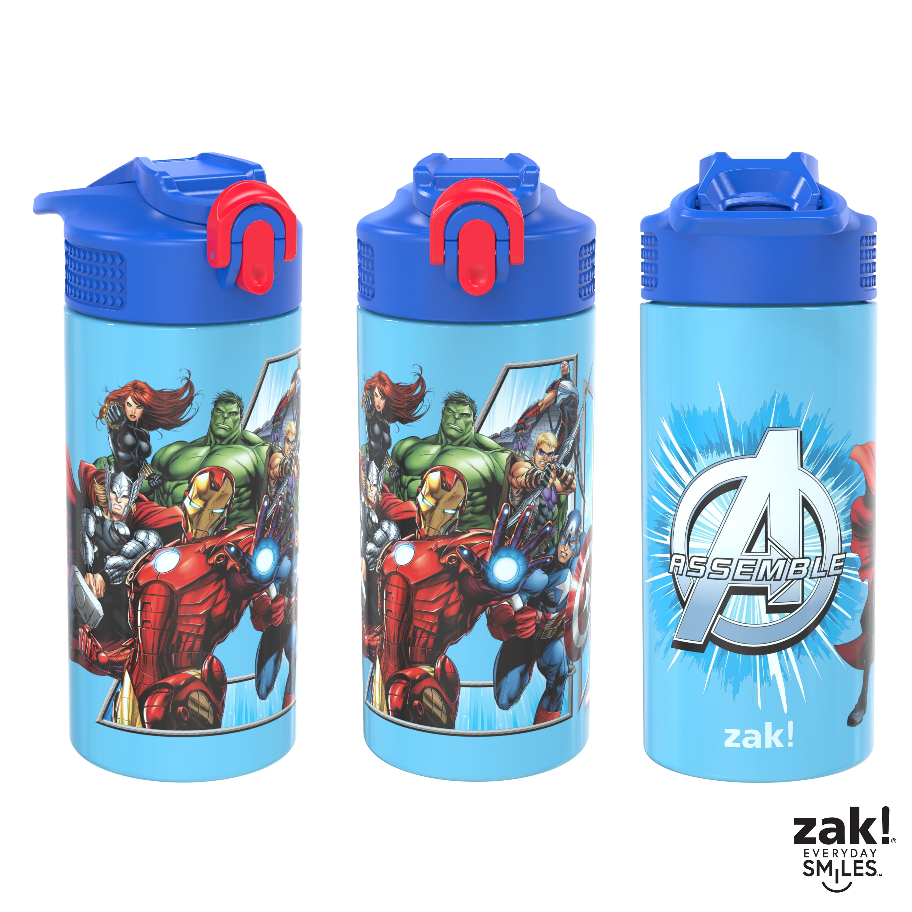 Zak Designs 13.5 Ounce Stainless Steel Water Bottle, Dinosaurs 