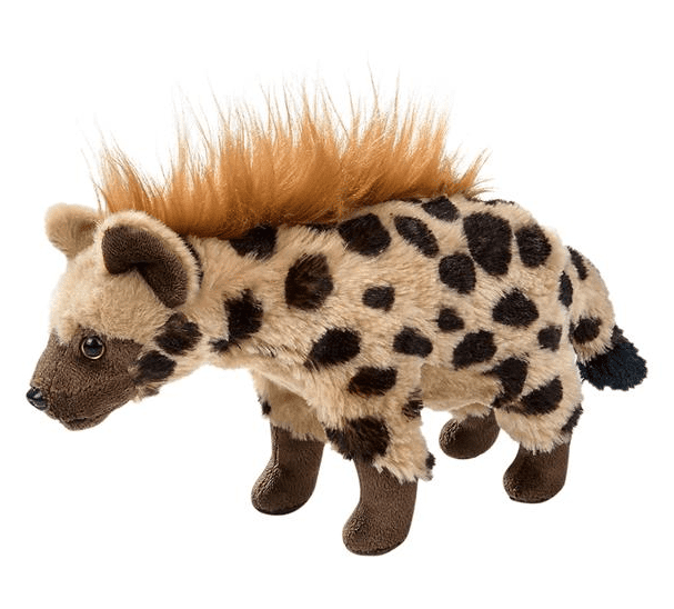 hyena teddy
