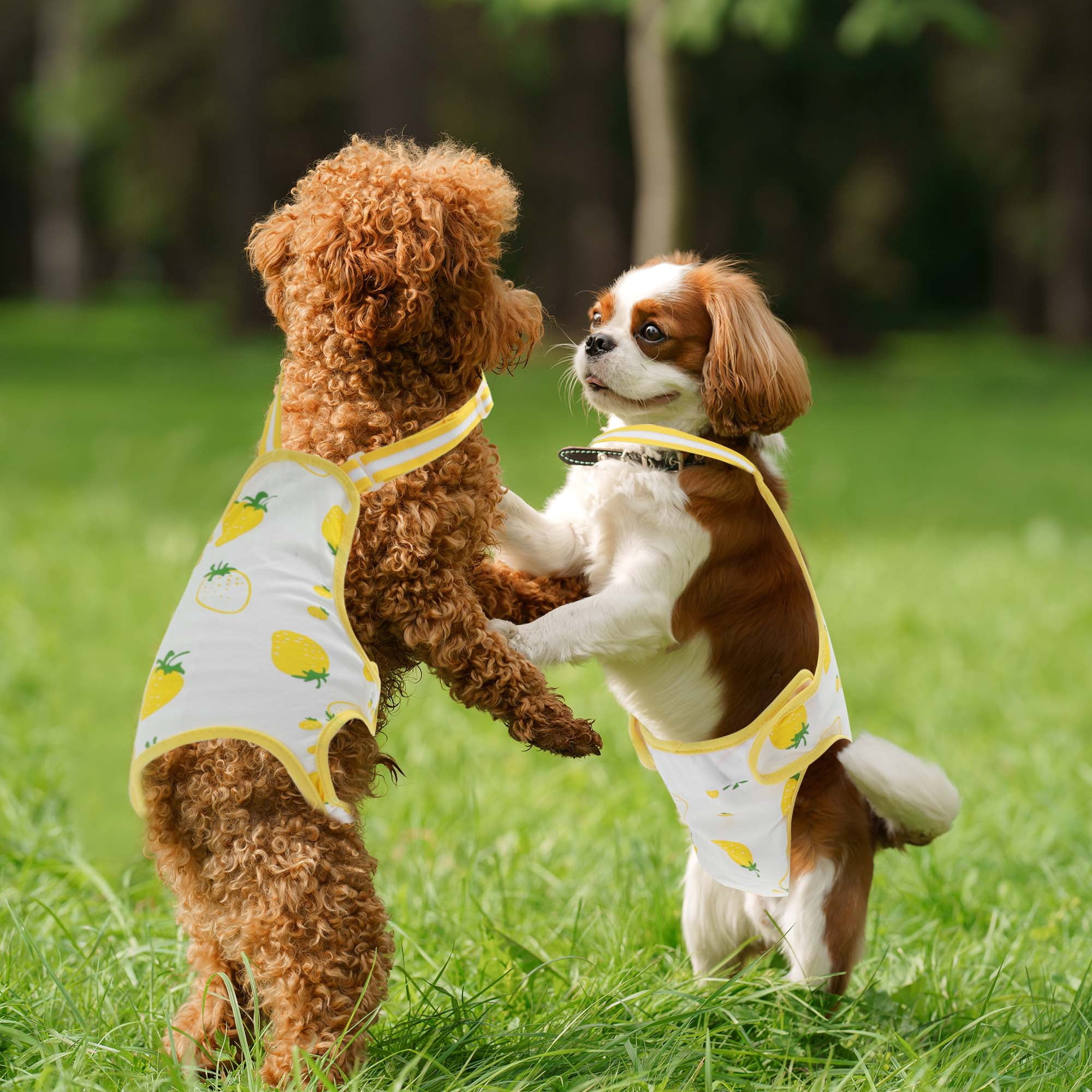 Unique Bargains Dog Diapers for Female Dogs Washable Reusable Panties Yellow White M