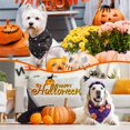 thumbnail image 4 of Pañuelos para perros Sanwuta, lavables para Halloween, 100 unidades, 4 of 6
