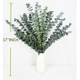 thumbnail image 5 of 20Pcs Dried Eucalyptus for Shower, 17inch Natural Fresh Green Eucalyptus Plant, Real Eucalyptus Leaves Branches, Eucalyptus Stems for Flower Arrangement, Green Bathroom Decor, Home Decor, 5 of 8