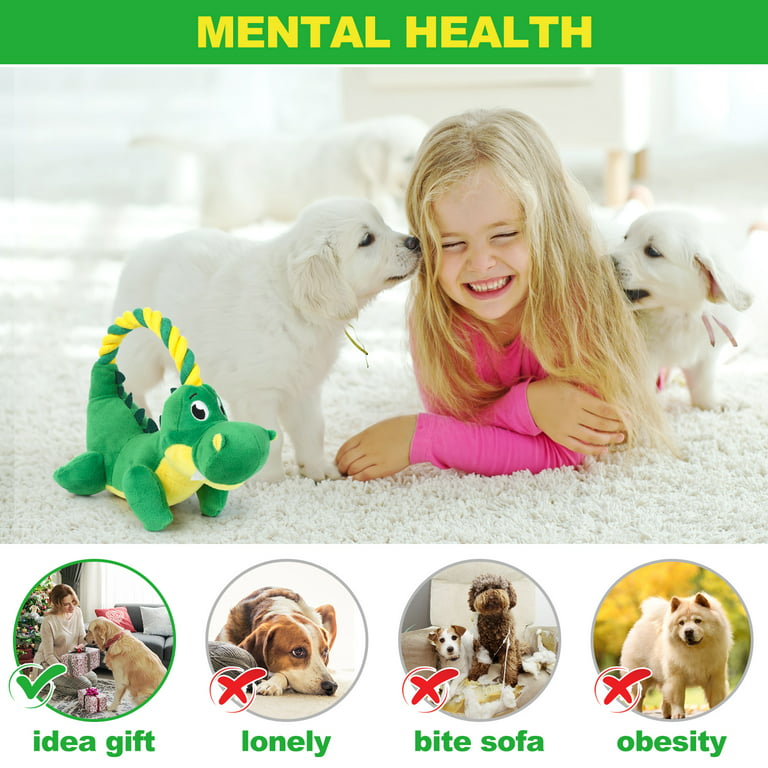 Kitsin 2 Pack Squeaky Plush Dog Toys, Unique Shape Dog Chew