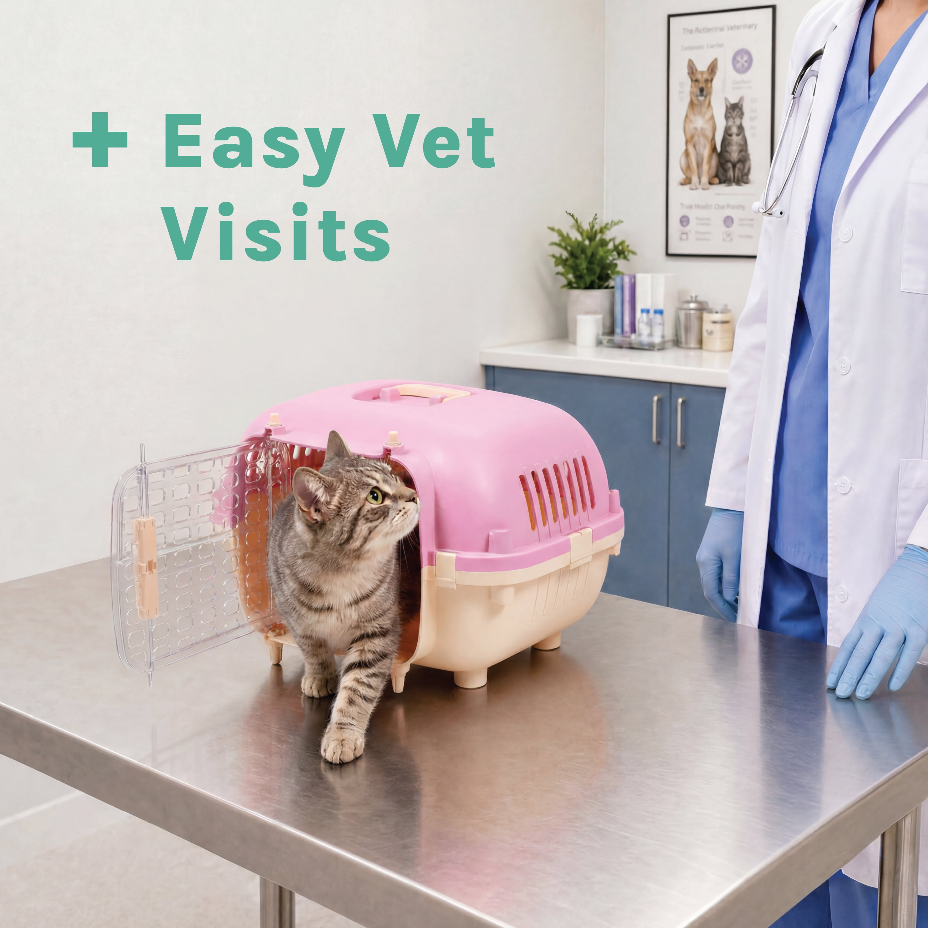 Kitty City 21" Oblong Durable Hard Sided Plastic Pet Kennel with Top Handle, Pink, 20 lb Limit