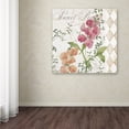 thumbnail image 4 of Trademark Fine Art "Sweet Pea" Canvas Art by Color Bakery, 4 of 4
