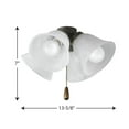 thumbnail image 6 of AirPro Collection Four-Light Ceiling Fan Light, 6 of 6
