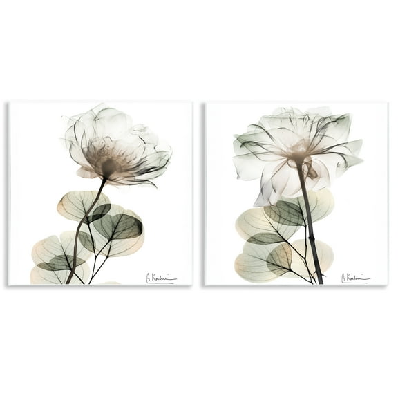 Stupell Industries Cream Transparent Floral Floral Painting Unframed Art Print Wall Art, 12 x 12, Set of 2
