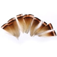 thumbnail image 2 of 10/20 piezas de plumas de para manualidades, , sombrero, decoración artesanal, 10-12cm, 2 of 7