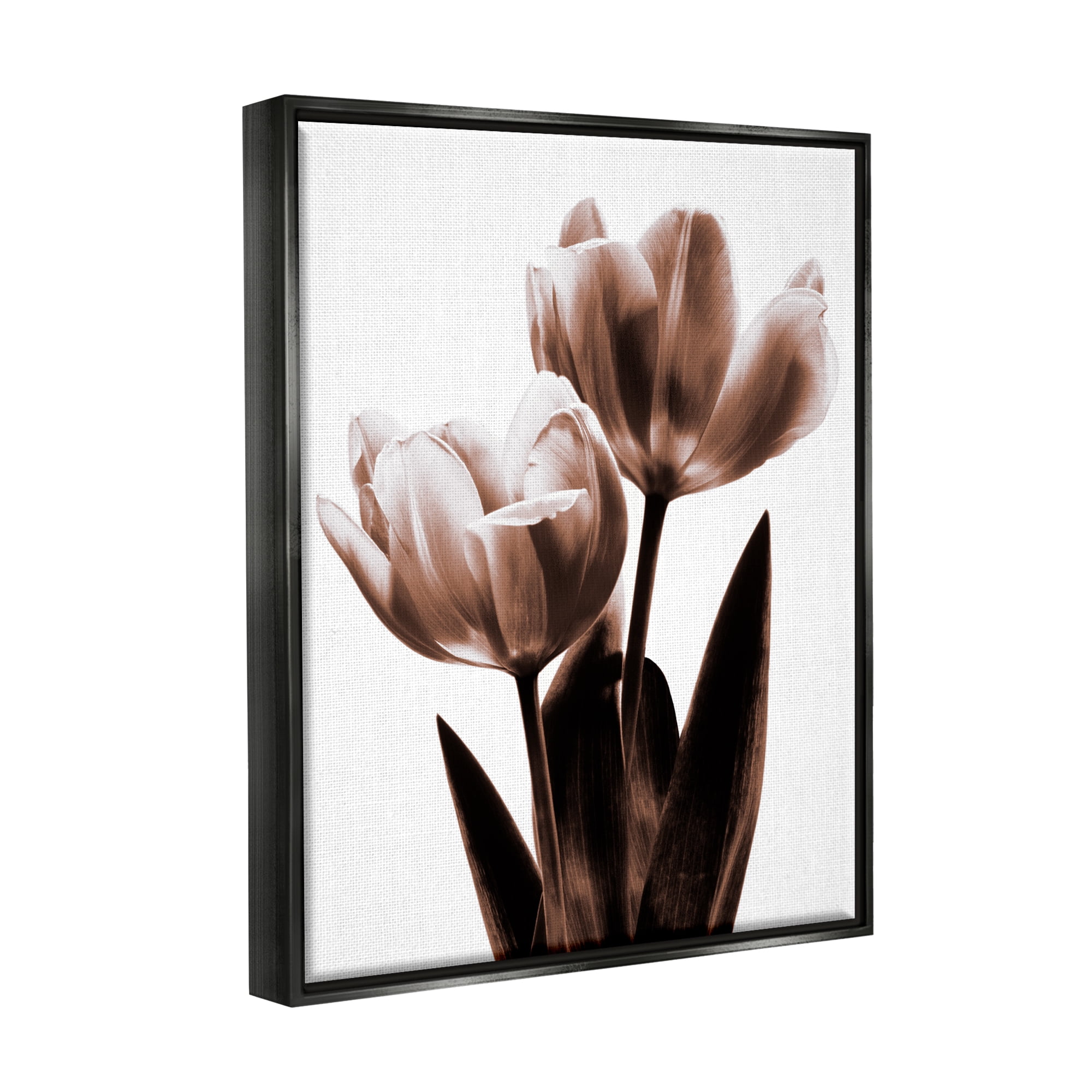Stupell Modern Tulip Silhouette Duo Botanical & Floral Photography Black Floater Framed Art Print Wall Art