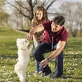 thumbnail image 5 of Dog Whistle - Dog Whistle to Stop Barking Neighbor's Dog & Long Range Recall, Adjustable Ultrasonic Silent Dog Whistle with Lanyard for Training Recall, Professional Obedience, 5 of 8