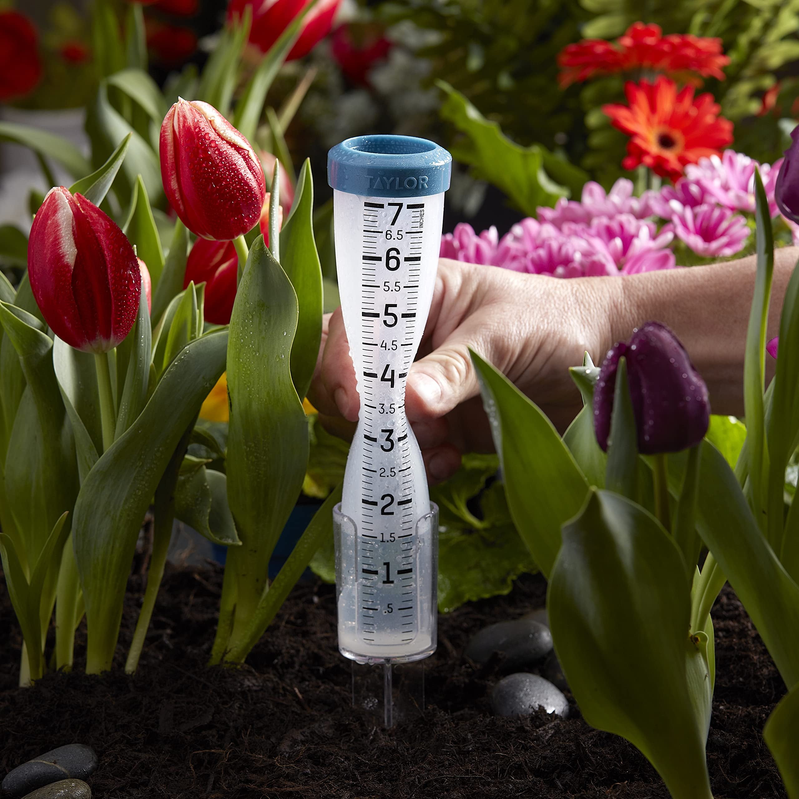Taylor 7 inch Capacity Easy to Read Break and Freeze Proof Flexible Silicone Rain Gauge, Post Mount or Ground Stake, Teal