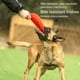 thumbnail image 4 of Frisbee 8Bitdo Naranja L, 4 of 8