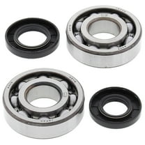 All Balls Crank Bearing and Seal Kit 24-1009 for Kawasaki KDX 250 80-84
