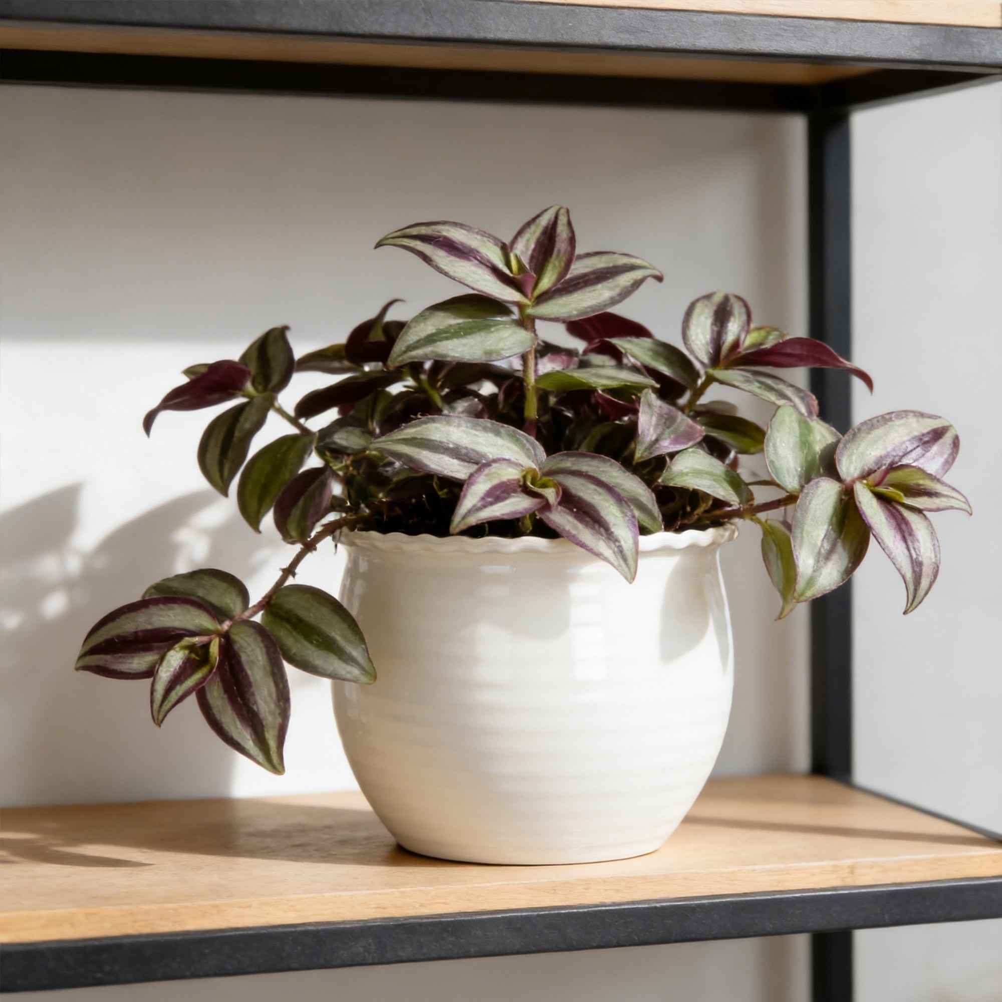 Mainstays Brooke 8" x 8" x 6.5" Round Vanilla Dream 100% Recycled Resin Planter