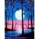 thumbnail image 1 of Taladro diamante pintura (DE0926) 5D DIY Luna Llena bordado mosaico Kit decoración del hogar 45x60cm Hugtrwg Para estrenar, 1 of 1