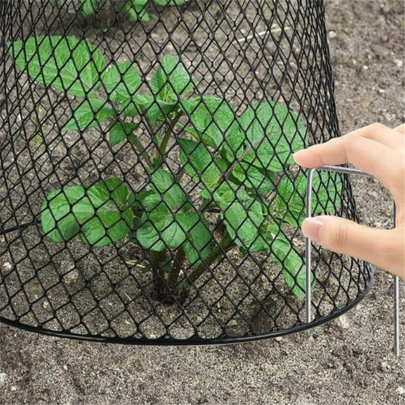 EZPXFCI 5 Pcs Iron Plant Protection Cover | Garden Cloche Metal Cage for Keeping Bunnies/Chicken/Squirrels/Birds Out, Yard Flowerpot Protector