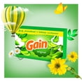 thumbnail image 4 of Gain dryer sheets, Original Scent, Fights static with a touch of scent, laundry sheets 120CT, 4 of 9