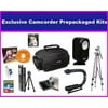 Enthusiast Accessory kit For Panasonic HDC-HS250 HDC-TM15K HS300 HS700K TM700K SDR-H80 kit with 8GB Hi Speed SD Memory Card, Portable Video Light, X Grip, Pro Tripod, Deluxe Carrying Case & More