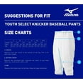 thumbnail image 3 of Mizuno Youth Boys' Premier Short Baseball Pant, 3 of 4