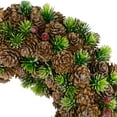thumbnail image 6 of Northlight MIni Pinecone and Berries Small Frosted Christmas Wreath - 13" - Unlit, 6 of 7