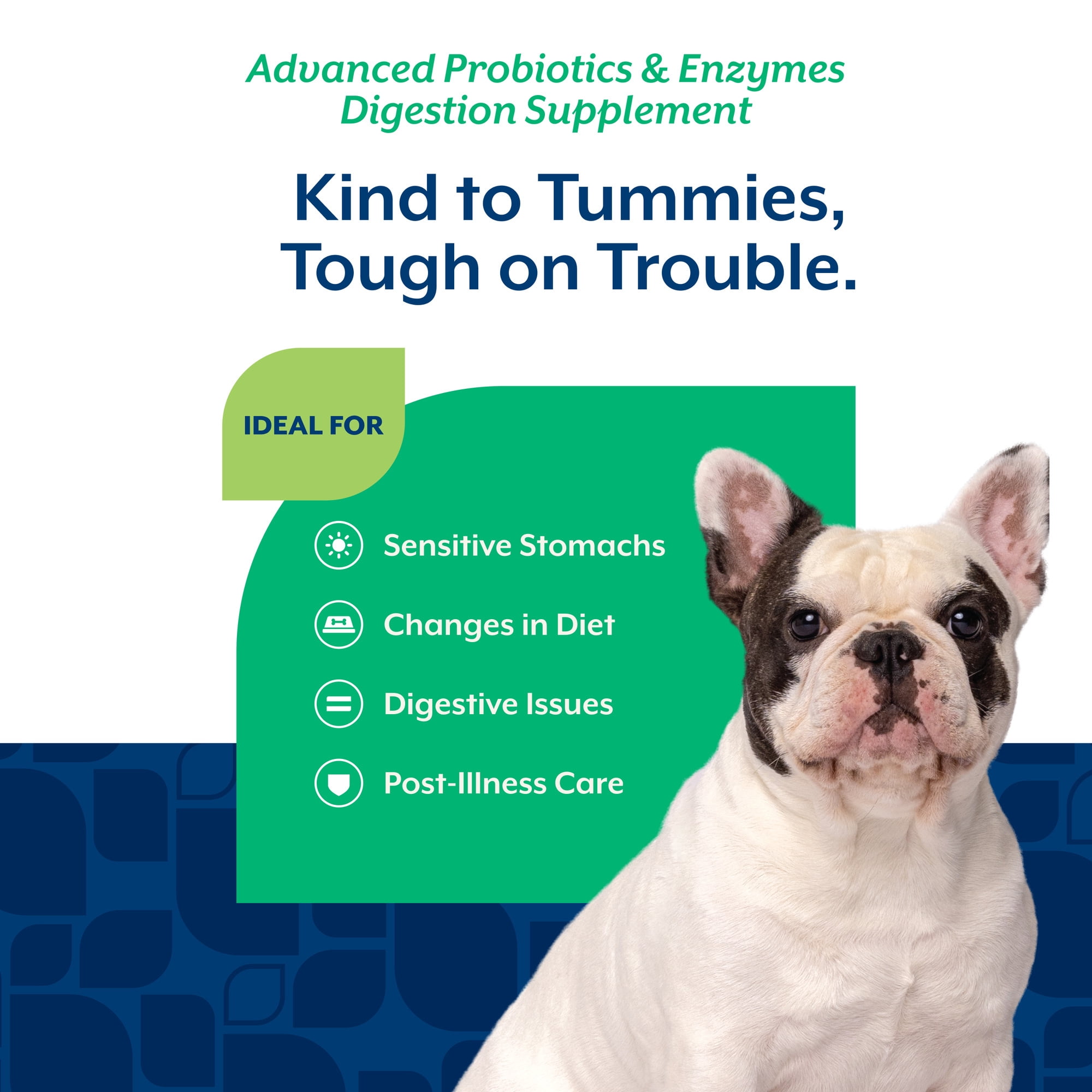 NaturVet Advanced Probiotics & Enzymes Supplements, Bacon & Chicken Flavor, 70 Soft Chews