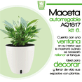 thumbnail image 2 of Maceta autorregable Smart Garden AQ1817 Decorativa Redonda de 18cm de diámetro x 17cm de alto, 2 of 5