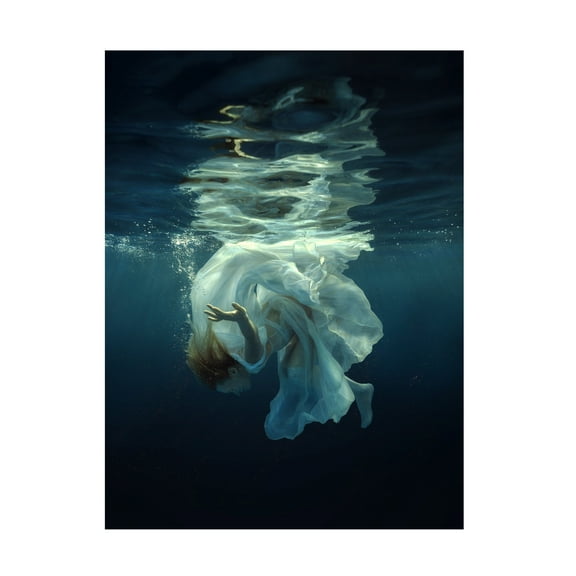 Dmitry Laudin 'Flash' Canvas Art
