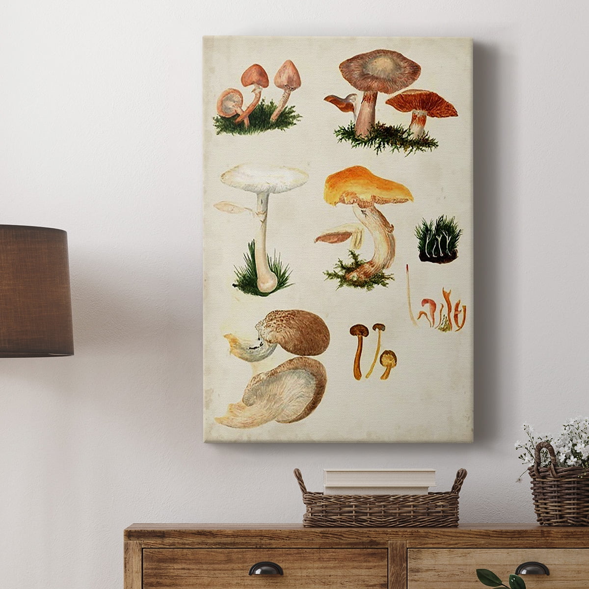 Mushroom Species IV Premium Gallery Wrapped Canvas - Ready to Hang