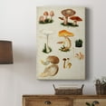 thumbnail image 5 of Mushroom Species IV Premium Gallery Wrapped Canvas - Ready to Hang, 5 of 9