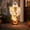 Courtyard ghost decoration, variant on Hovilon Halloween Floating Ghost Pumpkin Light 51 Inch, Light Up Gauzy Ghost with Skeleton Hands, Battery Operated Polyester Outdoor Halloween Decoration, Spooky Yard Porch Decor for Halloween Party